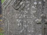 image of grave number 853047